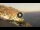 Webcam in Praiano, 4.4 km entfernt