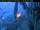 Webcam in Venedig, 0.7 km entfernt