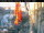 Webcam in Venice, 0.2 mi away