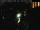 Webcam in Venice, 0.2 mi away