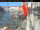 Webcam in Venice, 0.2 mi away