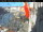 Webcam in Venedig, 0.6 km entfernt