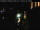 Webcam in Venice, 0.4 mi away