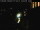 Webcam in Venice, 4.3 mi away