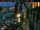 Webcam in Venezia, 35.5 km