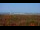 Webcam in Chantilly, Virginia, 13.9 mi away