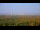Webcam in Chantilly, Virginia, 73.9 km entfernt