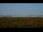 Webcam in Chantilly, Virginia, 21.6 km entfernt
