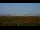 Webcam in Chantilly, Virginia, 23.8 km