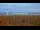 Webcam in Chantilly, Virginie, 32.8 km