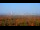 Webcam in Chantilly, Virginia, 35.8 km entfernt