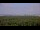 Webcam in Chantilly, Virginia, 35.8 km entfernt
