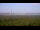 Webcam in Chantilly, Virginia, 132.9 km entfernt
