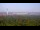 Webcam in Chantilly, Virginia, 40 km entfernt