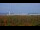Webcam in Chantilly, Virginia, 25.4 km entfernt