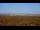 Webcam in Chantilly, Virginia, 3.5 mi away