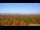 Webcam in Chantilly, Virginia, 33.4 km entfernt