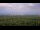 Webcam in Chantilly, Virginia, 61 km