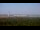 Webcam in Chantilly, Virginia, 13.9 mi away