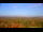 Webcam in Chantilly, Virginia, 139 km entfernt