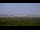 Webcam in Chantilly, Virginia, 53.6 mi away