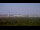 Webcam in Chantilly, Virginia, 139 km