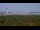 Webcam in Chantilly, Virginia, 56.8 km