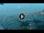 Webcam in Santa Margherita Ligure, 2.1 mi away