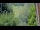 Webcam in Zell am See, 0 km
