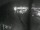 Webcam en el Mein Schiff 3, 11.6 km