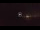 Webcam in West End, 315.4 km