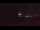 Webcam in West End, 171.8 km entfernt