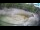 Webcam in Zagreb, 3.8 km