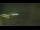 Webcam in Dorumer Neufeld, 4.2 mi away
