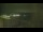 Webcam in Dorumer Neufeld, 0 mi away