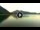 Webcam in Walchensee, 7.6 km entfernt