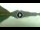 Webcam in Walchensee, 8.7 km entfernt