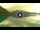 Webcam in Walchensee, 4.5 km
