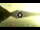 Webcam in Walchensee, 7.6 km