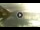 Webcam in Walchensee, 2.1 km entfernt