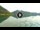 Webcam in Walchensee, 3.9 mi away