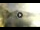 Webcam in Walchensee, 4.2 mi away