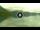 Webcam in Walchensee, 0.8 mi away