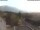 Webcam in Schneeberg (NÖ), 2.7 km