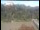 Webcam in Wernstein am Inn, 11.2 mi away