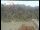 Webcam in Wernstein am Inn, 24.9 km