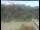 Webcam in Wernstein am Inn, 12.9 mi away