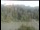 Webcam in Wernstein am Inn, 23.9 km