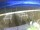 Webcam in Bellariva di Rimini, 2.5 km