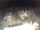 Webcam in Bellariva di Rimini, 2.1 km entfernt